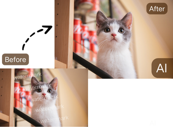 Remove Watermarks from JPG, JPEG, and PNG Files with Ease