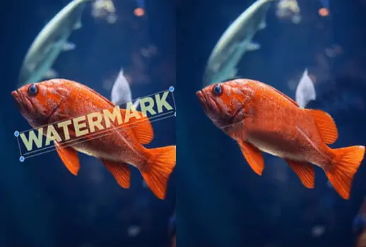 Remove Logo from Video Online Instantly