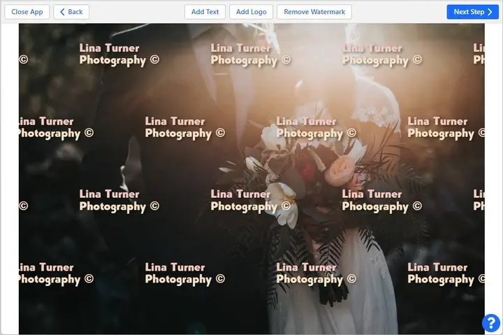 Remove Logo Online from Video Fast